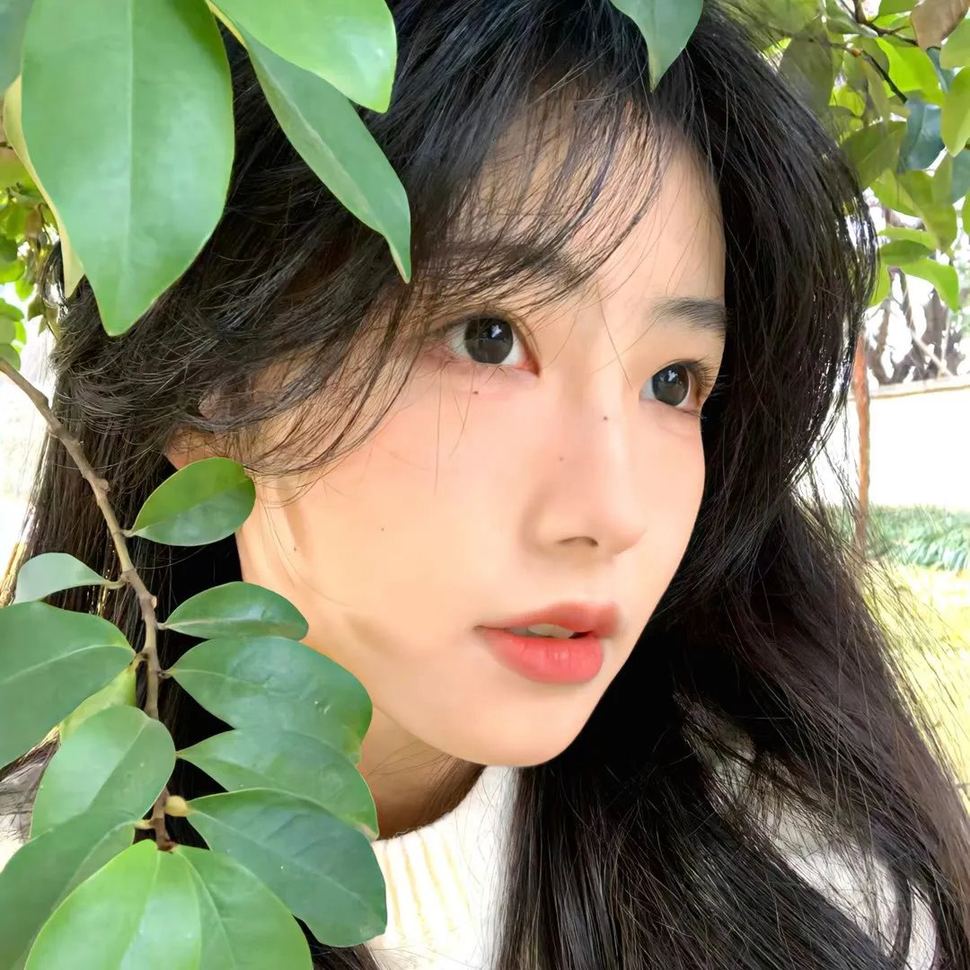 红日
